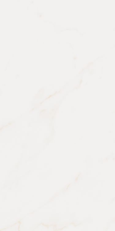 Omnia Calacatta Levigato 12 x 24